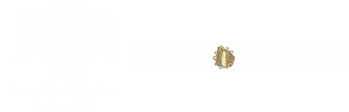 Escuela Técnica Domingo Arena